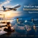 What law applies on an international flight – Egypt and aviation law